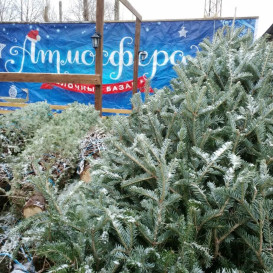 IMG_20161126_142608