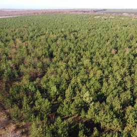 DJI_0008_