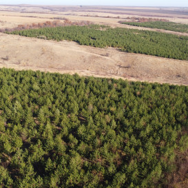 DJI_0011_