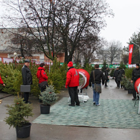novocherkassk-07