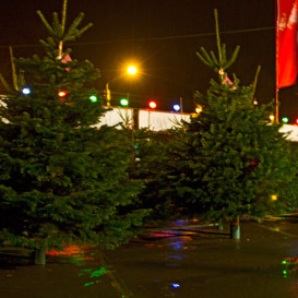 rostov-ska-2011-05