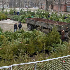 rostov-ska-2011-10