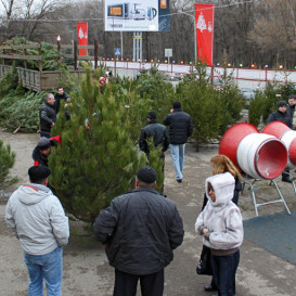 rostov-ska-2011-11