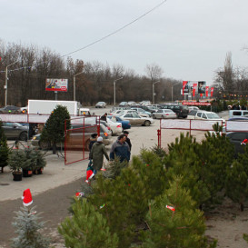rostov-ska-2011-12