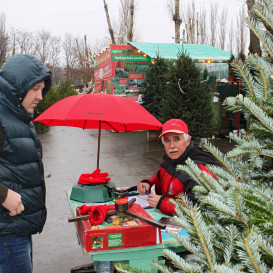 rostov-ska-2011-13