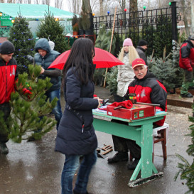 rostov-ska-2011-14