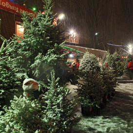 rostov-ska-2011-16