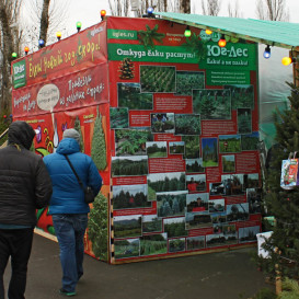 rostov-ska-2011-20