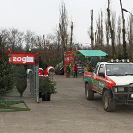 rostov-ska-2011-21