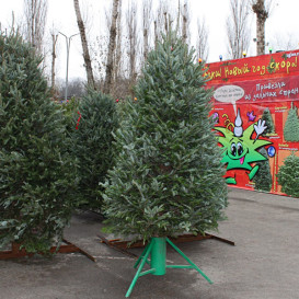 rostov-ska-2011-23