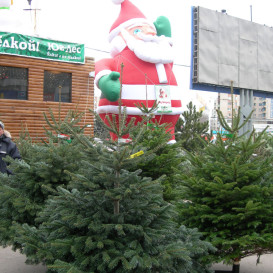 DSCN5636