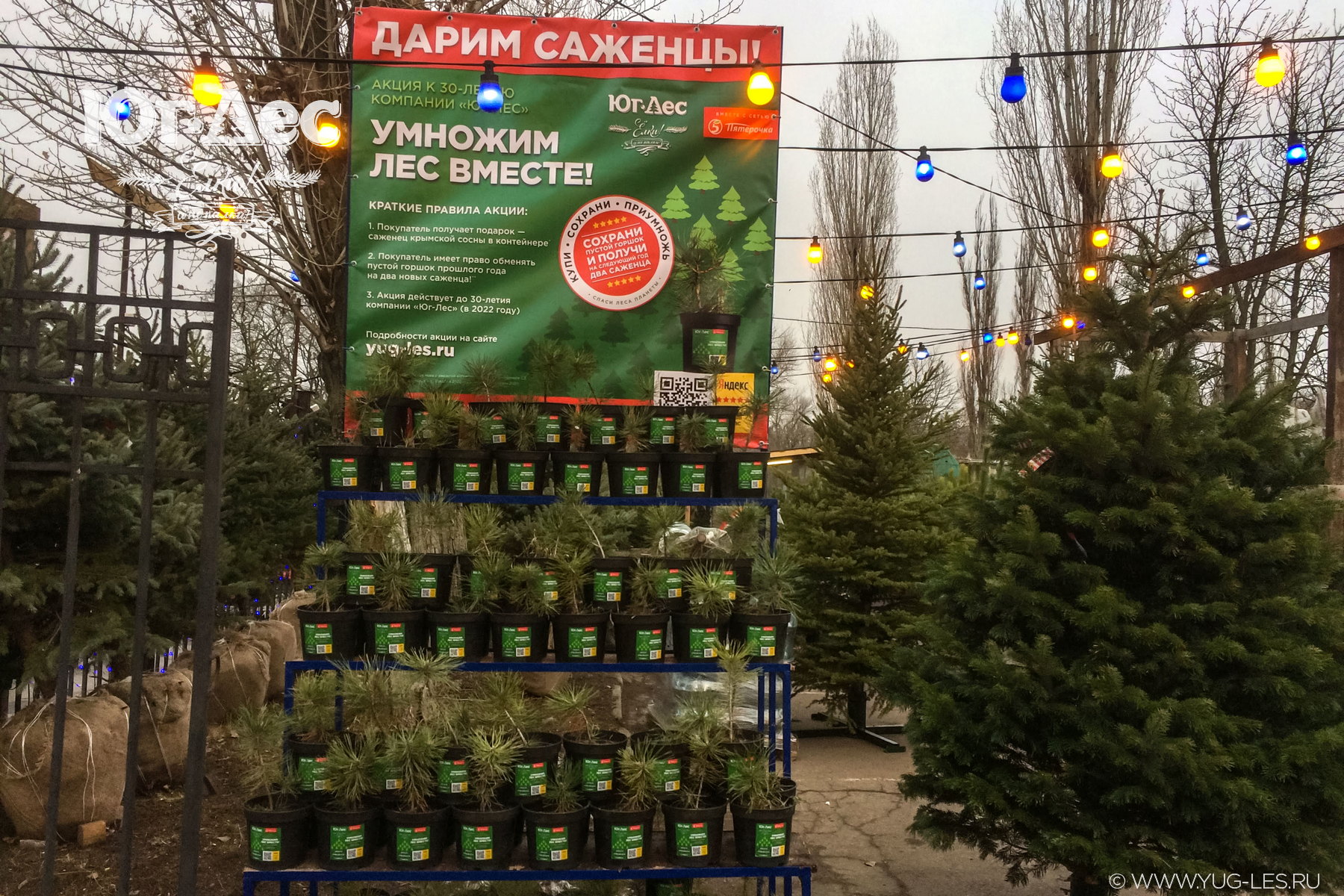 Добро пожаловать на ёлочные базары Атмосфера-2018!
