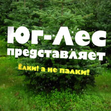 Видеоролики